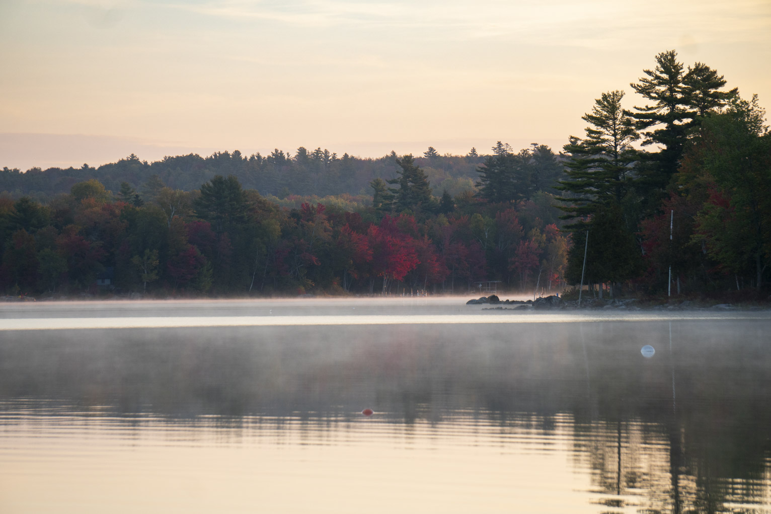 The swamp maples on the shore have turned brilliant red